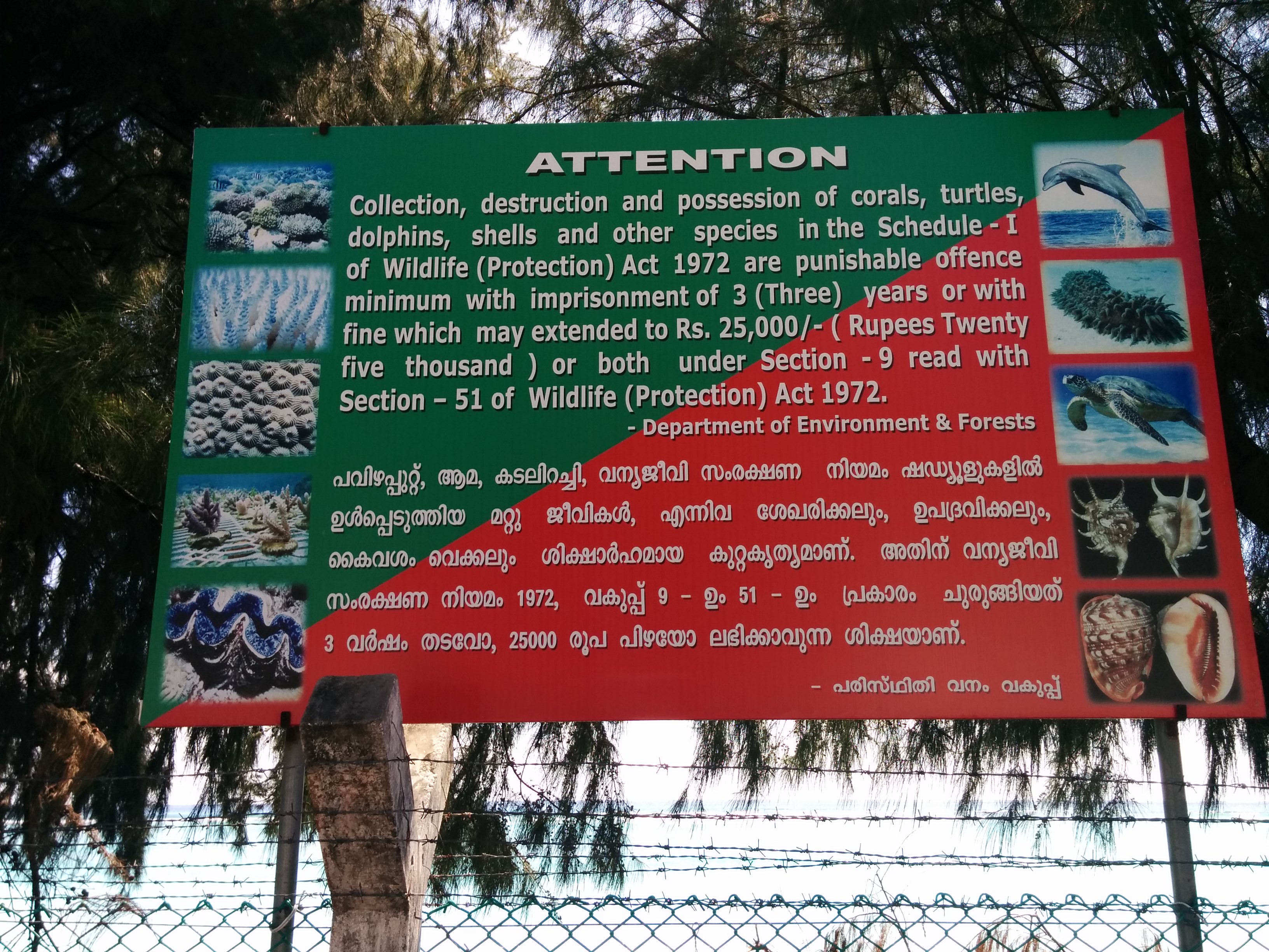 Restrictions on carrying the corals from Lakshadweep